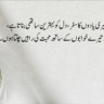 One Line Poetry in Urdu 2024