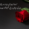 49+ Urdu Sad Love Shayari in Urdu
