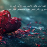 Heart Touching Shayari in Urdu 2 Lines