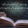 Saraiki 2 Lines Best Poetry In Urdu